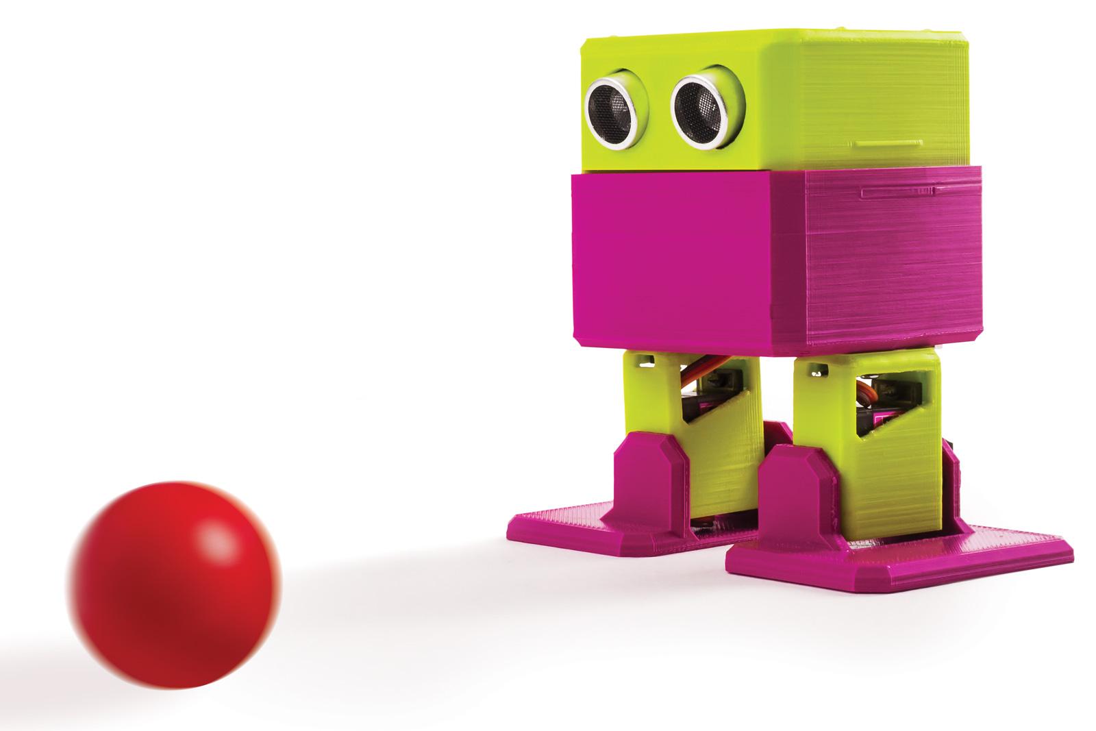 bot with ball